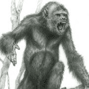 Pierolapithecus catalaunicus